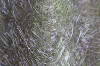 New Works fibreglass roof work